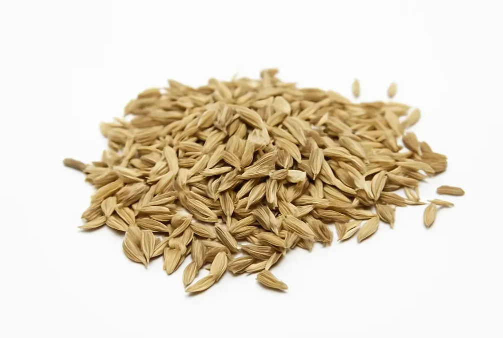 Cumin