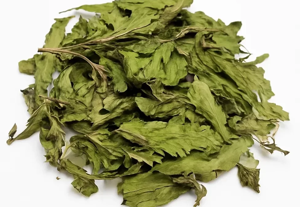 Dried Spearmint