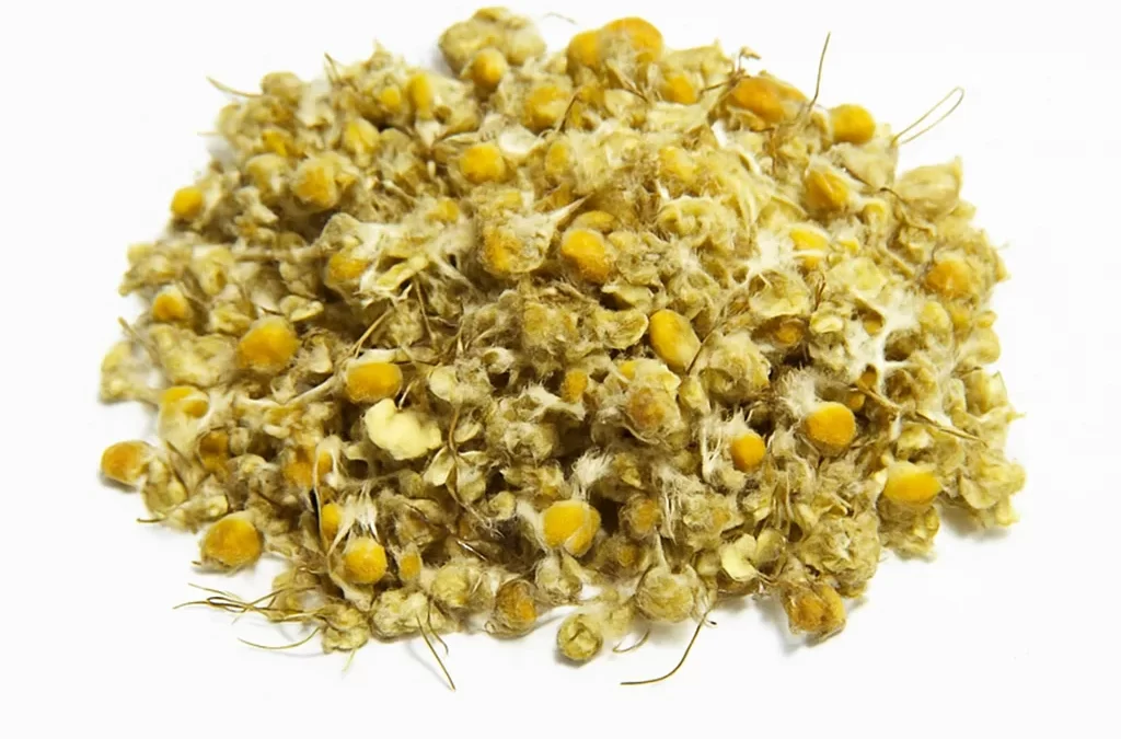 Dried Chamomile